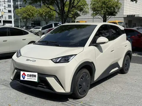Seagull 2023 Vitality Edition