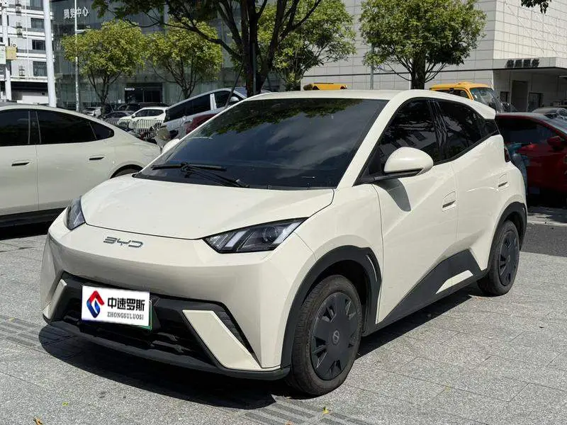 Seagull 2023 Vitality Edition