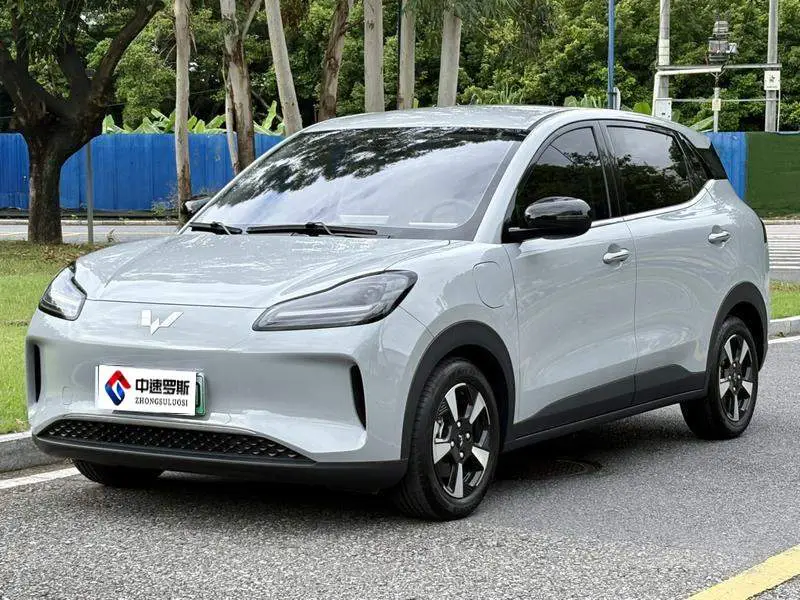 Wuling Bingo PLUS 2024 330km five-seater version