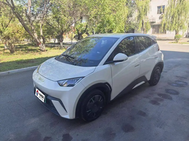 Seagull 2024 Glory Edition 305км Vitality Edition