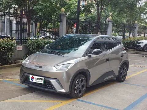Seagull 2025 305km Freedom Edition
