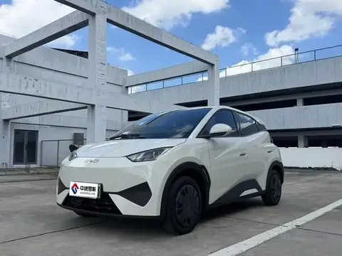 Seagull 2025 Smart Driving Edition 305km Vitality Edition