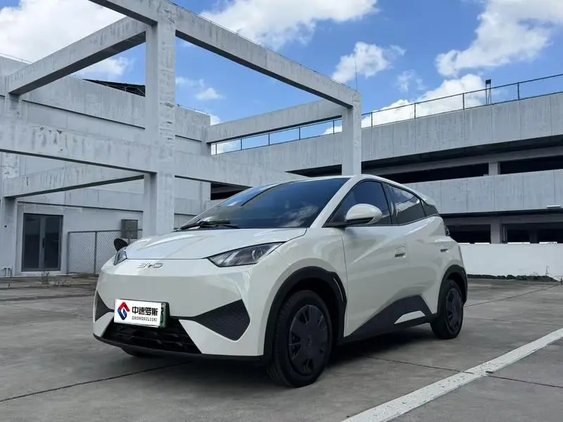 Seagull 2025 Smart Driving Edition 305km Vitality Edition