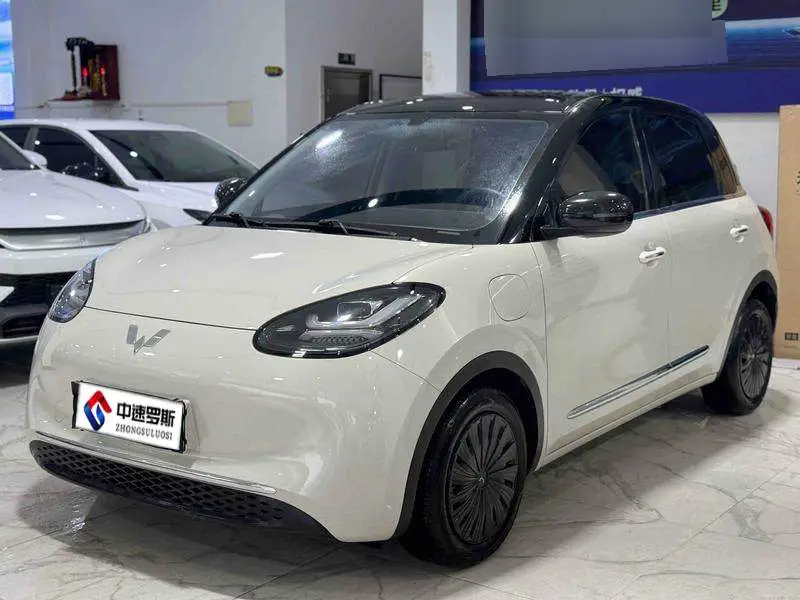 Wuling Bingo 2024 333km Enjoy Edition
