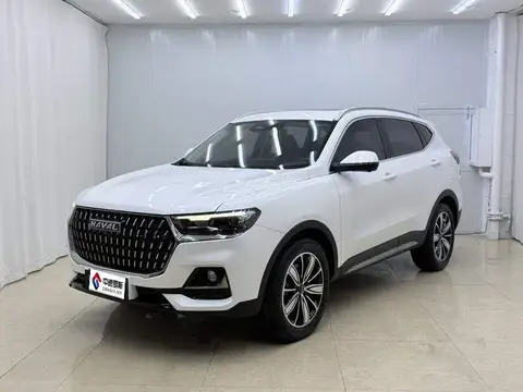 Haval H6 2023 National Trend Edition 1.5T Automatic Champion Edition
