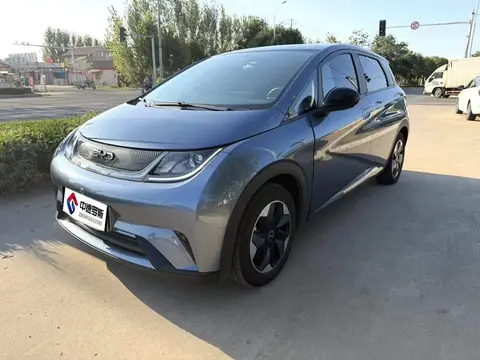 dolphin 2025 Smart Driving Edition 420กม. Free Edition