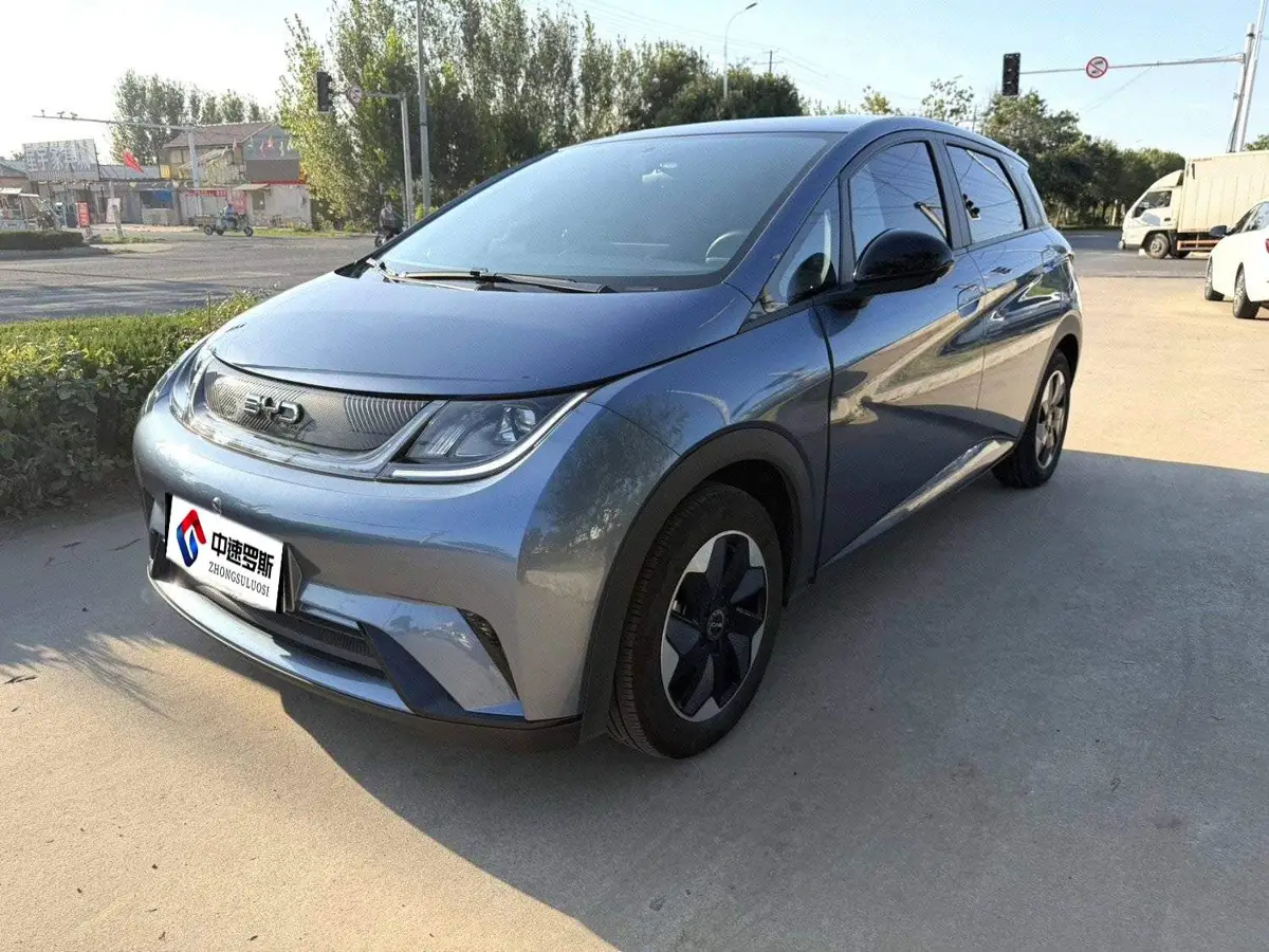dolphin 2025 Smart Driving Edition 420กม. Free Edition