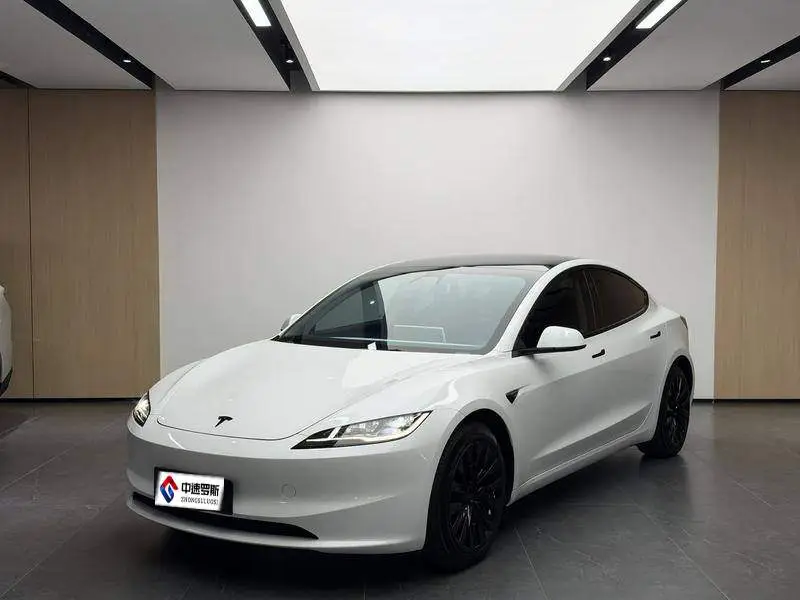 Model 3 2023 rear-wheel drive version
