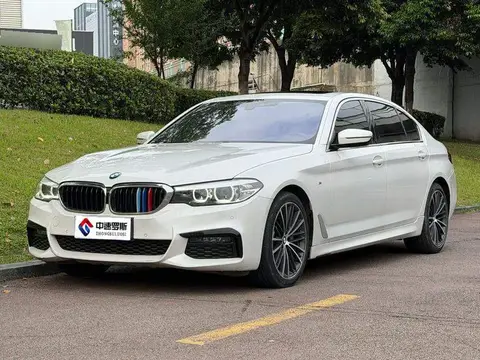 BMW 5 Dòng xe 2019 530Li Leading M Sport Package