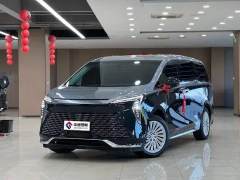 century 2023 2.0T Four-seat Private Edition