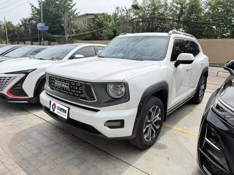 Haval Big Dog II 2023 2.0T 4WD Trendy Wild Plus