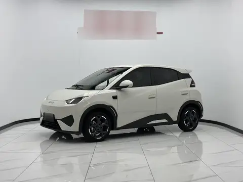 Seagull 2025 Smart Driving Edition 405km Flying Edition