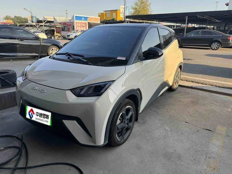 Seagull 2024 Honor Edition 305km Freedom Edition