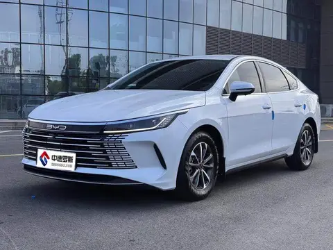 Destroyer 05 2024 Honor Edition DM-i 55KM Luxury