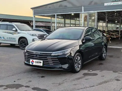 Destroyer 05 2024 Honor Edition DM-i 55KM Luxury