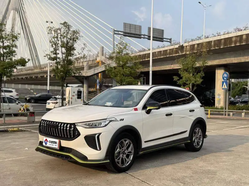 Haval Chitu 2022 Jinxiang Edition 1.5T Copper Rabbit