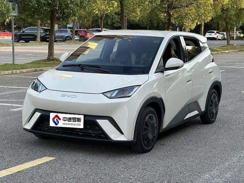 Seagull 2023 Vitality Edition