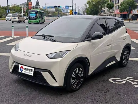 Seagull 2024 Honor Edition 305กม. Freedom Edition