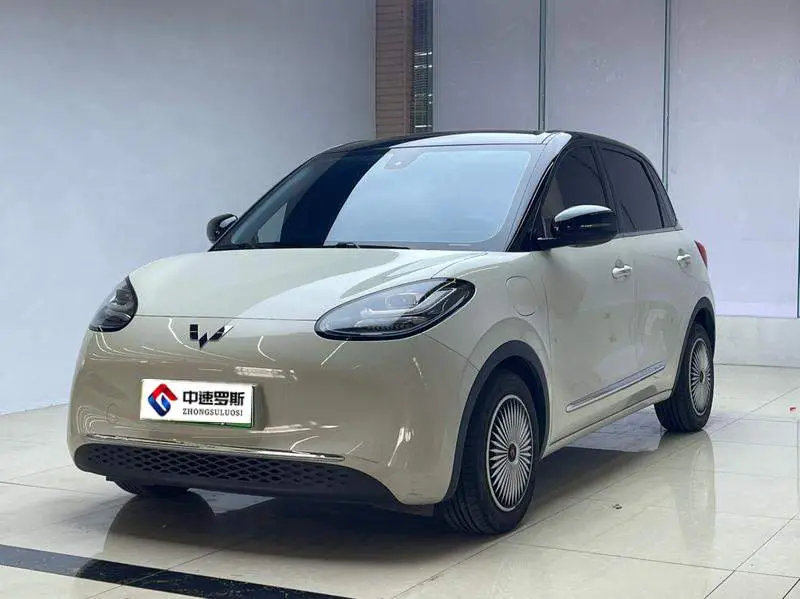 Wuling Bingo 2023 333km Lingxi Internet Modèle