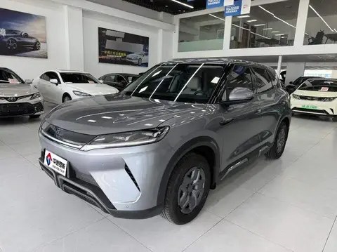 YuanUP 2024 401KM Vitality Edition