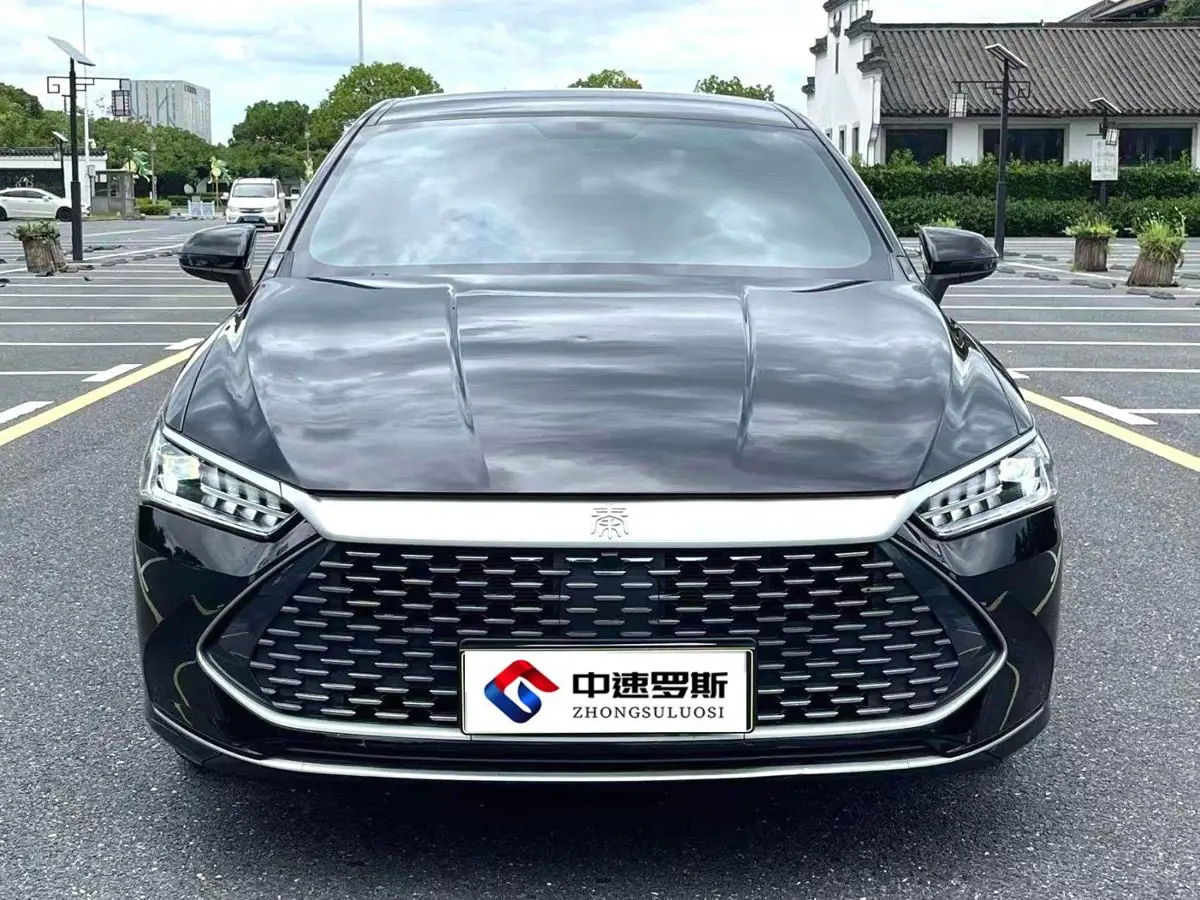 Qin PLUS 2023 Champion Edition DM-i 55KM Leading Edition