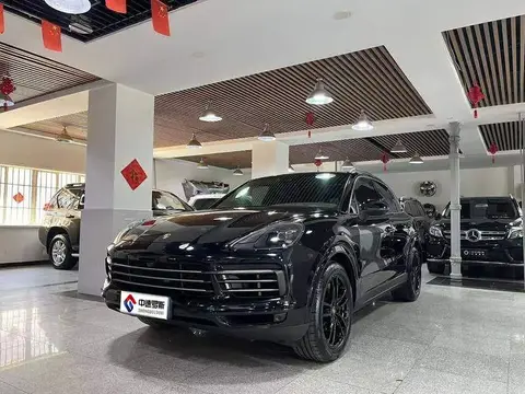 Cayenne 2022 Cayenne 3.0T Platinum Edition