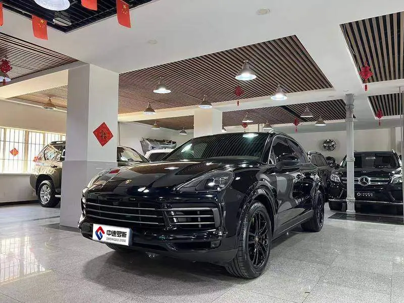 Cayenne 2022 Cayenne 3.0T Platinum Edition