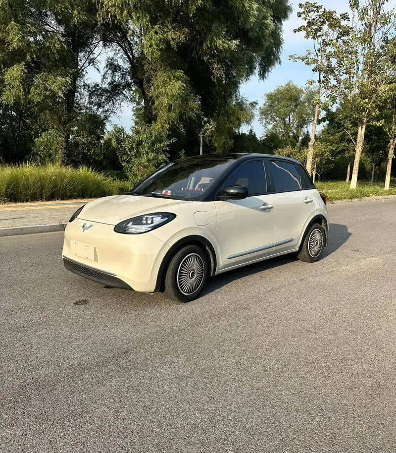Wuling Bingo 2023 203km Light Edition