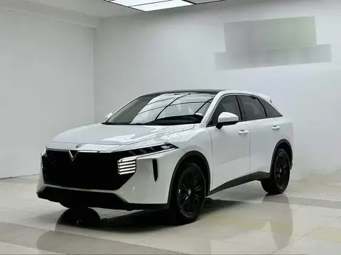 Qichen Big V 2023 260T Idol Edition Pro