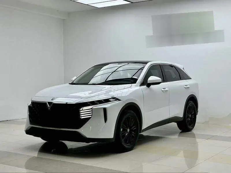 Qichen Big V 2023 260T Idol Edition Pro