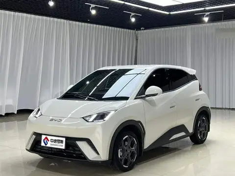 Seagull 2025 405km Flying Edition