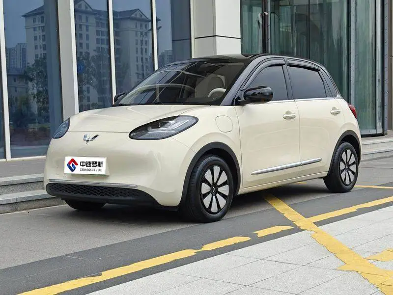 Wuling Bingo 2025 Model 333km Enjoy Edition