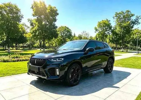 Wei brand VV7 2019 upgraded 2.0T flagship model National V