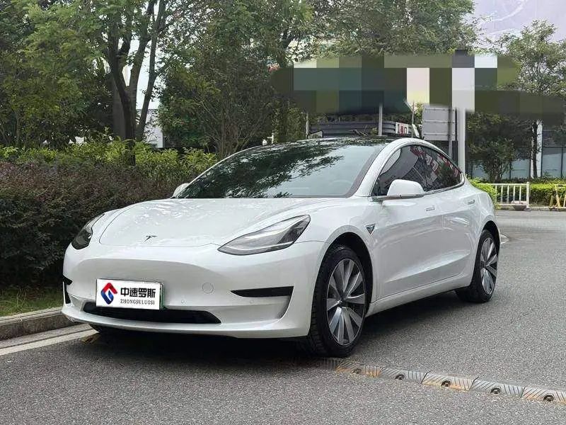 Model 3 2020 Standard Range RWD Upgraded Version