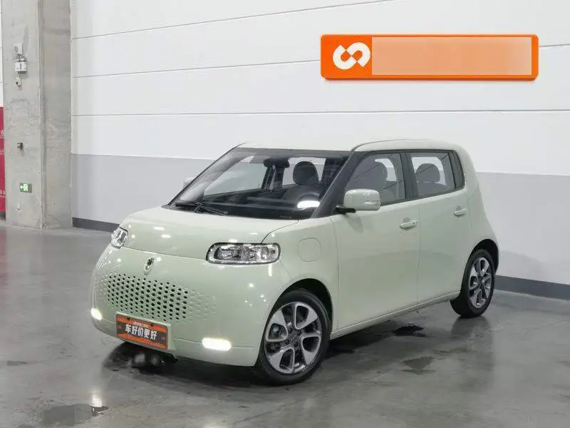 Ora White Cat 2020 305km Luxury Model